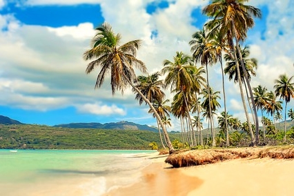maxpixel-freegreatpicture-com-bathing-beach-paradise-palm-trees-sea-holiday-1921598-jpg